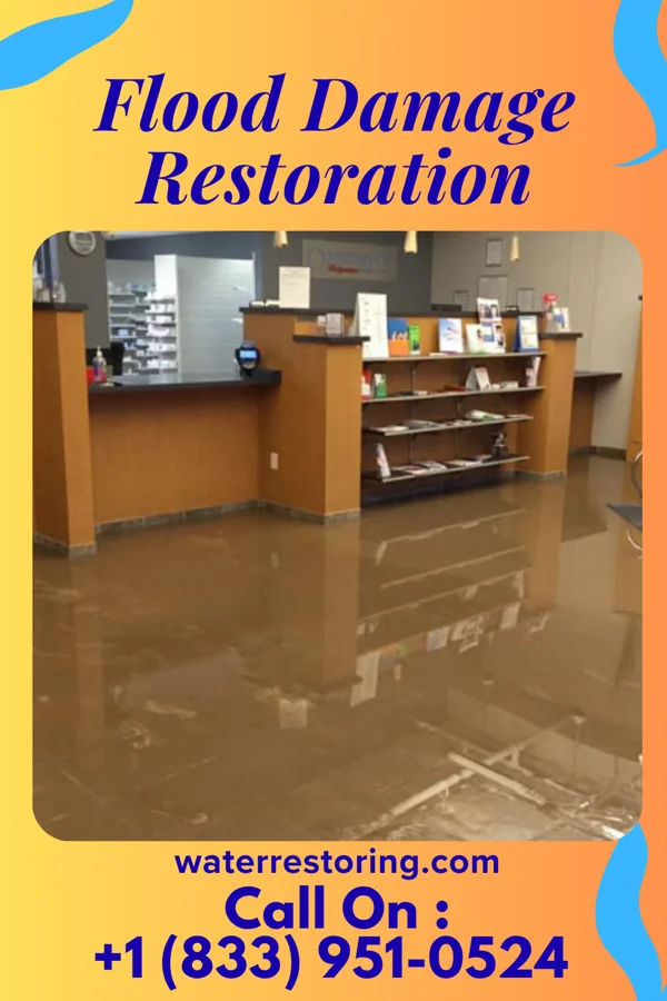 Flood Damage Restoration in El Jebel, CO