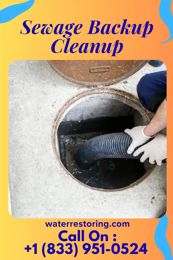 Sewage Backup Cleanup in El Jebel, CO