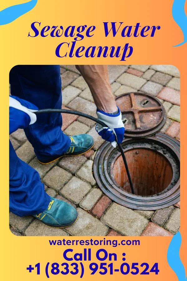 Sewage Water Cleanup in El Jebel, CO