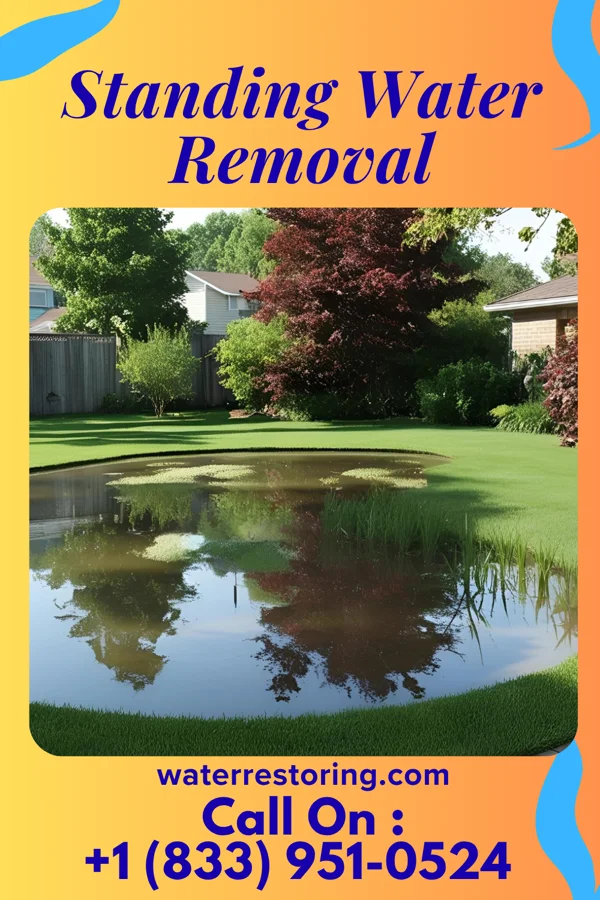Standing Water Removal in El Jebel, CO